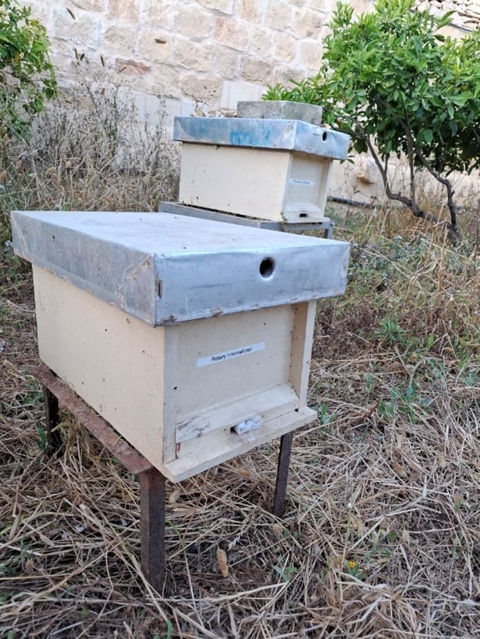 Beehive – Rotary International