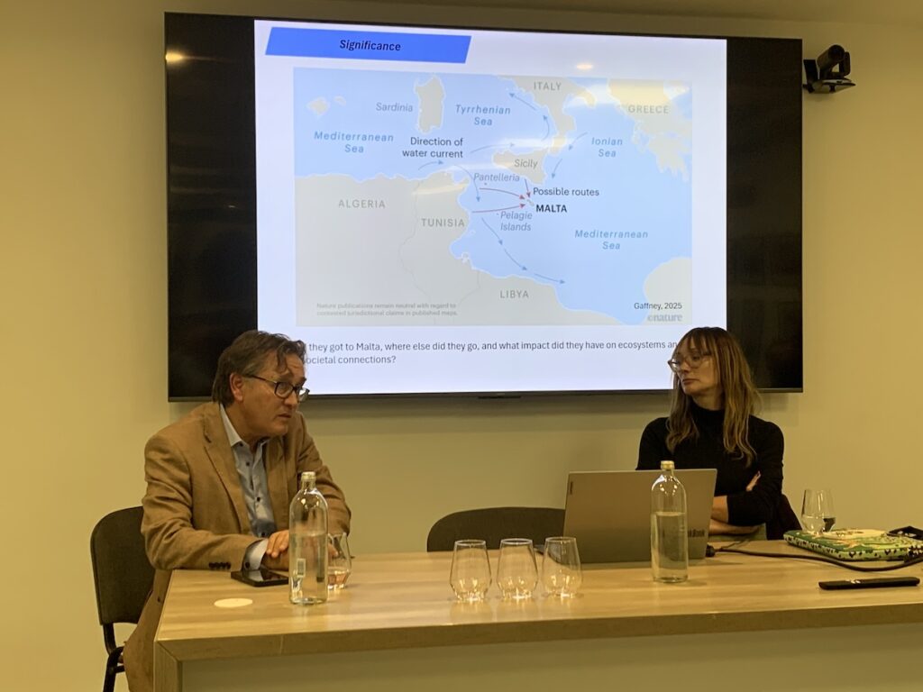 Question and answer session with both professors